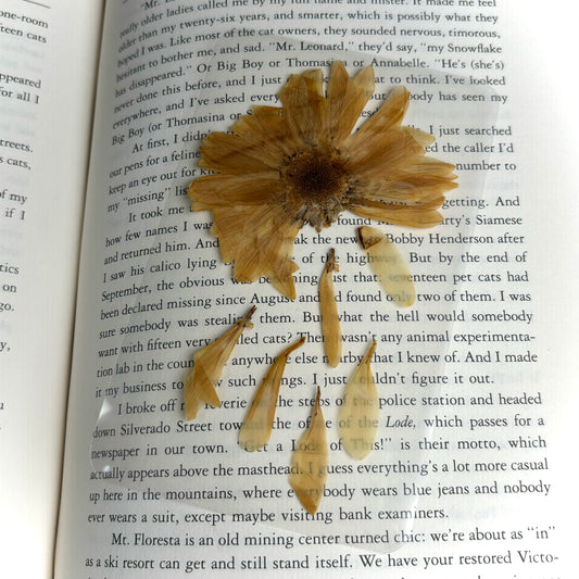 Sunflower Petals Bookmark